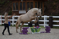 L'Equ'Crin D'Olima à Chantraine