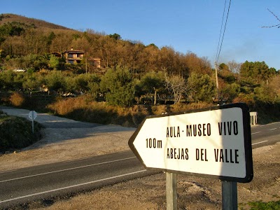 Photos of Bees Valley