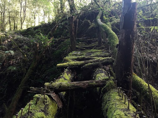 Quebrada de San Lorenzo, Author: Gonzalo Rivero