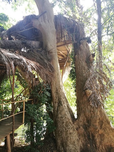 Photos of Kumbuk Tree House