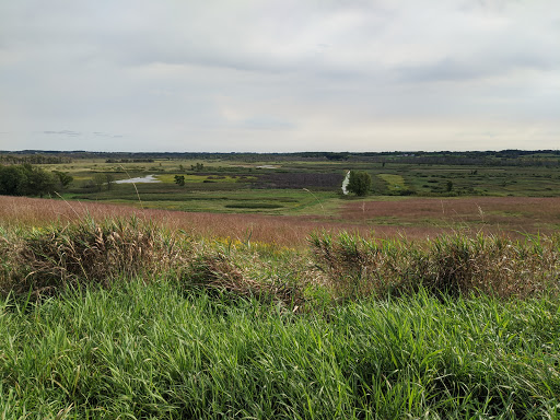 Theresa Marsh Wildlife Area
