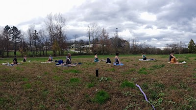 Yoga in the Park Asheville