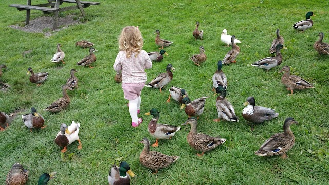 Ogden Water Country Park