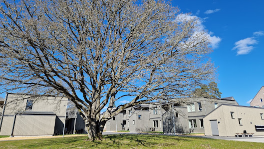 Brf Snöflingan Örsledsvägen 22X, 352 58 Växjö, Sverige