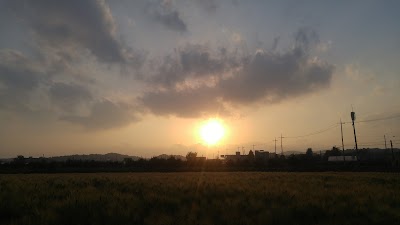 Photos of 세종시 타이어