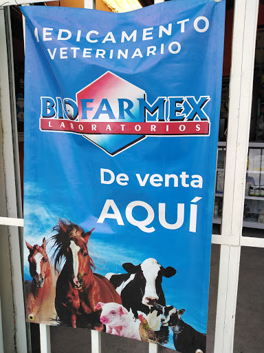 Veterinaria jaloxtoc - Thumbnail