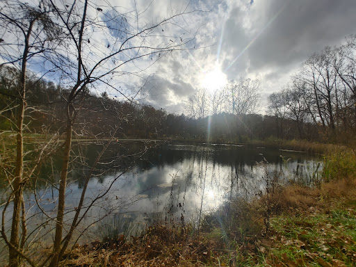 Indian Springs Wildlife Management Area - Thumbnail