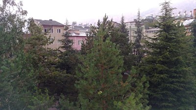 Photos of Koyulhisar K&uuml;lt&uuml;r Parkı