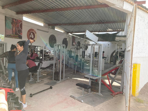 TeamPatanaFit - Visual