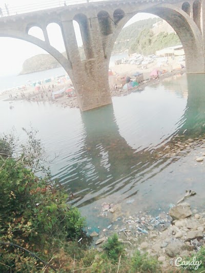 Photos of Taza National Park