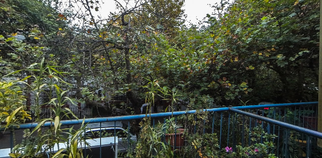 Posada del Maple - Hotel