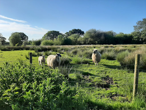 Red Rocks Caravan Park - Thumbnail