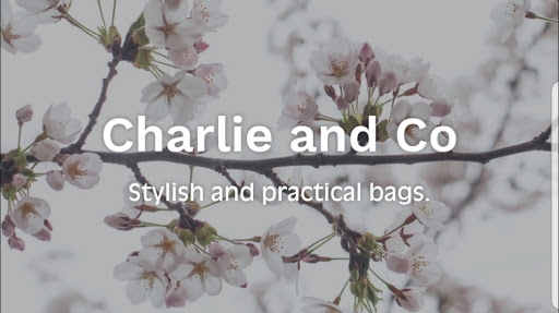 Charlie and Co baby and childrens bags.