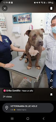 VETERINARIA BLUE HOLE