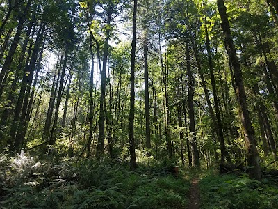 Elowah Falls Parking