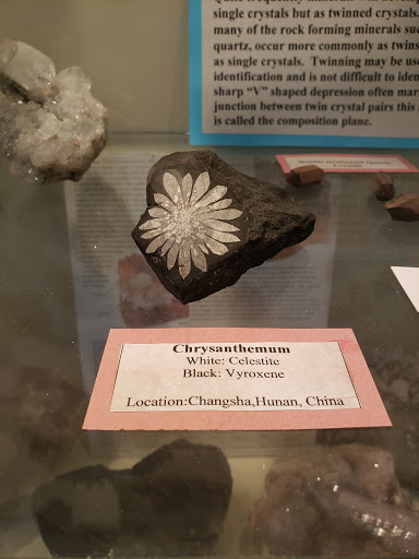 Box Elder Museum of Natural History - Thumbnail