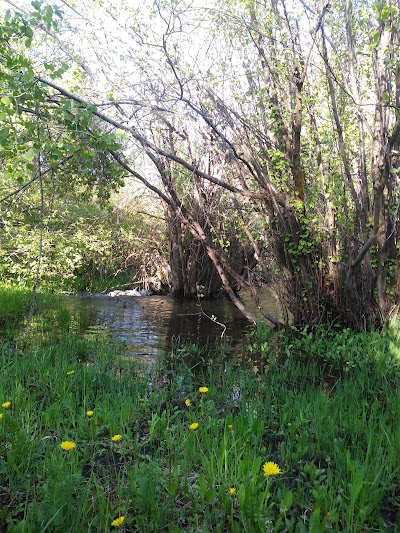 Davis Canyon Overflow Campground