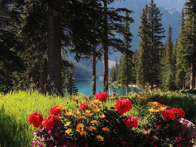 Moraine Lake - View Point