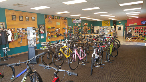 Robin's Bikes & Fitness Logo