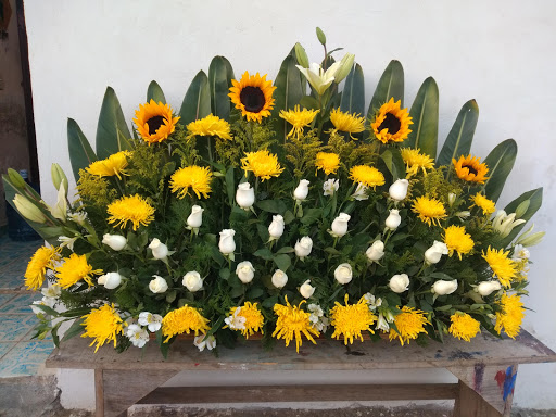 floreria el girasol de copala jalisco