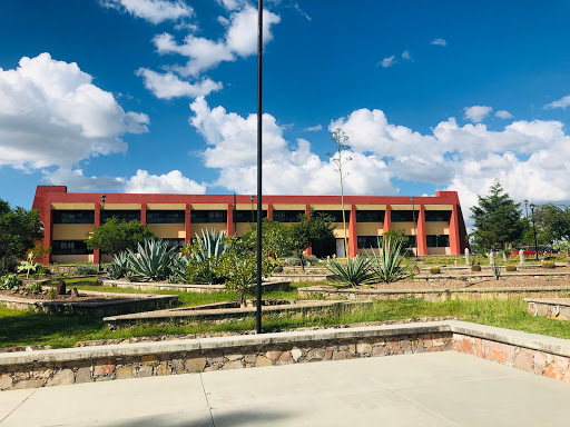 Universidad Tecnológica del Norte de Guanajuato