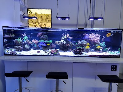 California Reef Co.