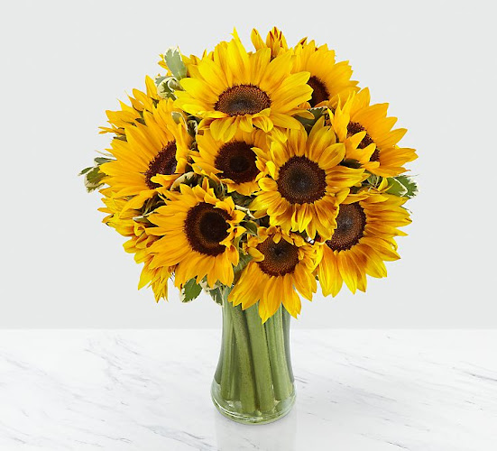 Praça Santos Dumont, 147 - Gávea, Rio de Janeiro - RJ, 22470-060