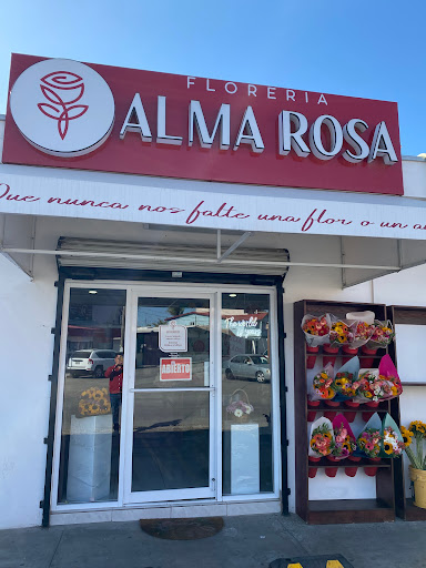 Florería Alma Rosa - Thumbnail