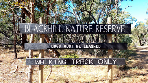Blackhill Reserve Car Park Gallery - Australia