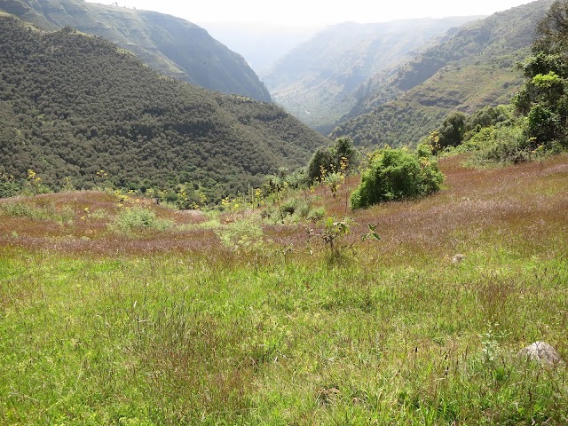 Simien Mountains National Park