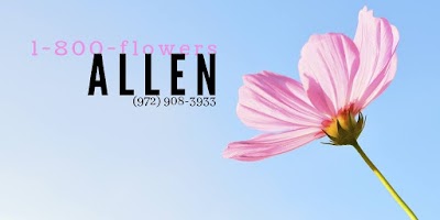 1-800 Flowers Allen