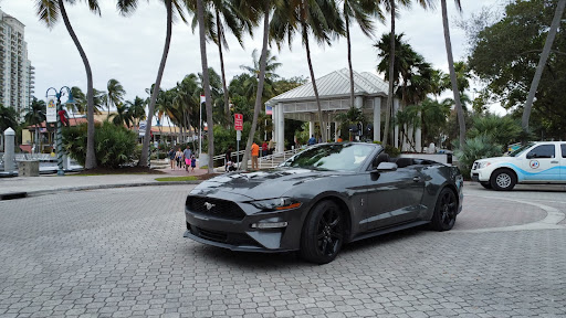 Black Label Transportation FL