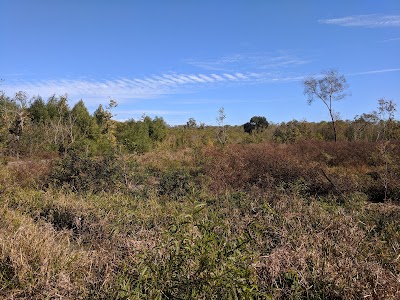 Audubon Louisiana Nature Center