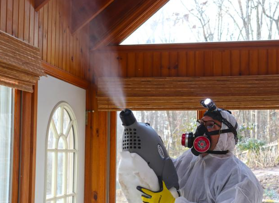 Mold Solutions by Cowleys photo