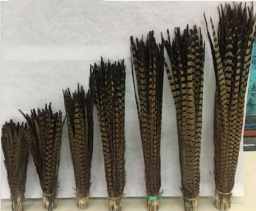 FEATHERS F.T - Thumbnail