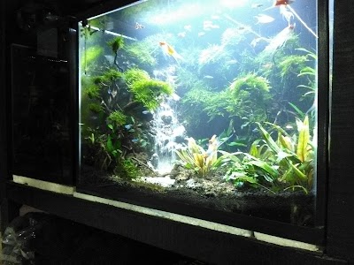 Photos of Bianka Aquarium
