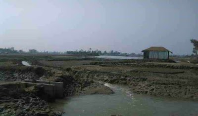 Photos of মহুরি পাড়া কেন্দ্রীয় জামে মসজিদ