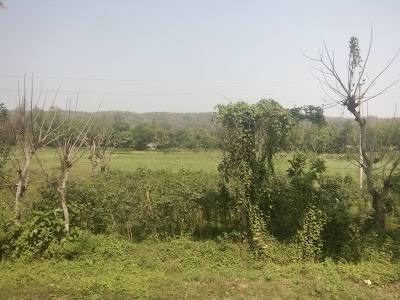 Photos of নিজামপুর স্টেশন জামে মসজিদ