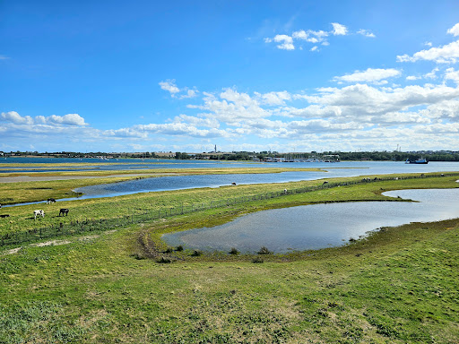 Beobachtungsturm NABU Graswarder Heiligenhafen - Thumbnail