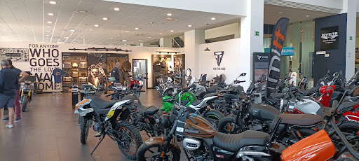 Triumph Burgos - Visual