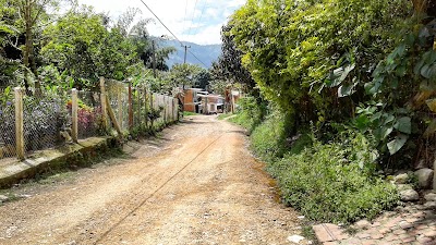Photos of Restaurante RANCHO HUILENSE