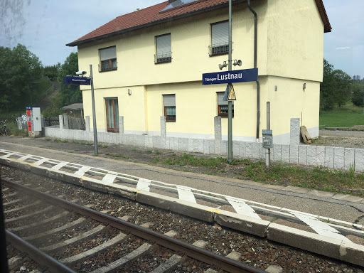Lustnau