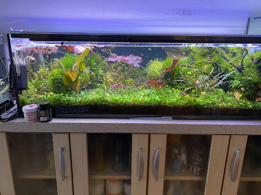 Weller LED