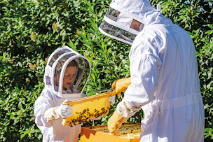 Photo n°6 de ICKO MONTAUBAN à Bressols (Fournisseur de matériel agricole)