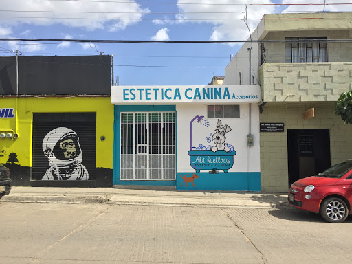 Abi Huellitas