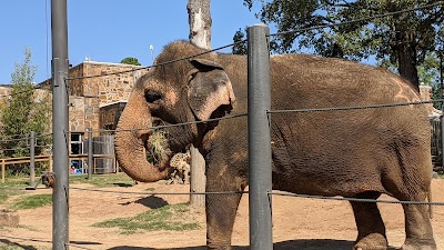 Little Rock Zoo