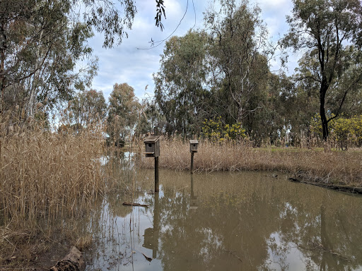 Yarrawonga Eastern Foreshore - Thumbnail