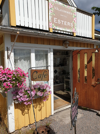 Esters Cafe - Visual