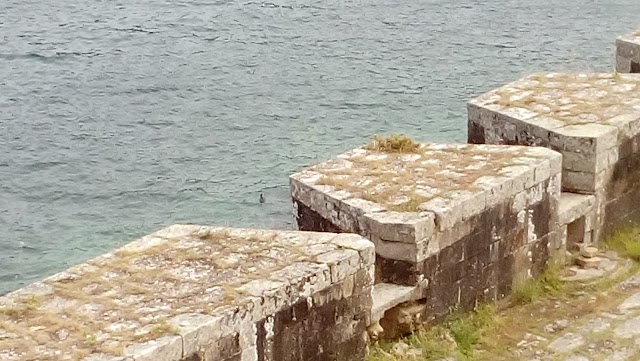 Castillo de San Felipe