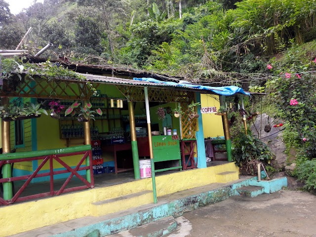 Attukad Waterfall